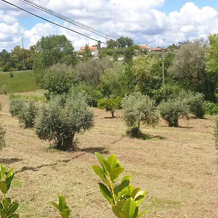 Quinta Do Pombal